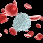 Анализ крови на лейкоциты