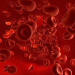 Эритроциты в крови норма