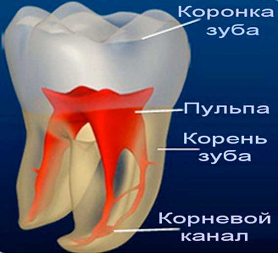 Пульпит — болезнь не по зубам