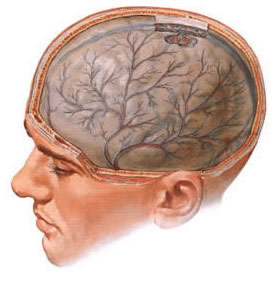 энцефалопатия головного мозга