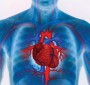 Заболевания сердца и принципы их лечения